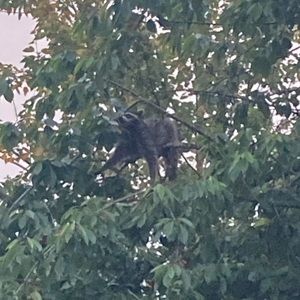 Meet your Posher, Josh